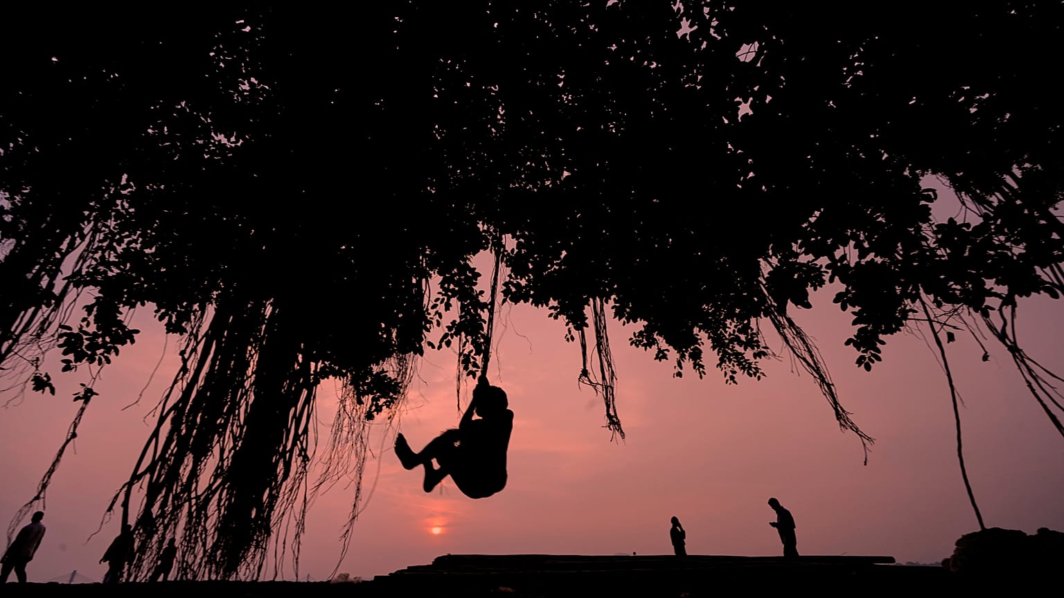 A minor boy plays with an arial root of a tree on the setting sun along the river Brahmaputra in Guwahati, India, Thursday, June 25, 2026.