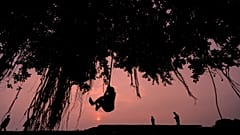 A minor boy plays with an arial root of a tree on the setting sun along the river Brahmaputra in Guwahati, India, Thursday, June 25, 2026.