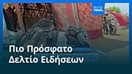 Ειδήσεις | 24 Ιουλίου 2026 - Μεσημβρινό δελτίο