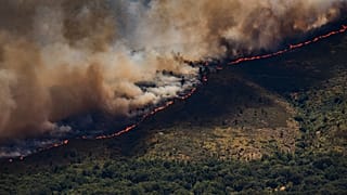 Wildfires have broken out in France, Germany, Greece, Spain and Portugal this summer.