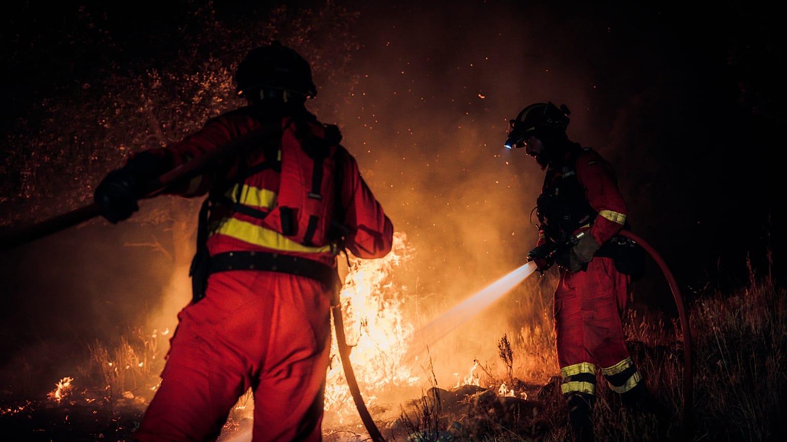 Este verano se han declarado incendios forestales en Francia, Alemania, Grecia, España y Portugal.