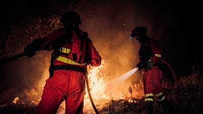 Este verano se han declarado incendios forestales en Francia, Alemania, Grecia, España y Portugal.