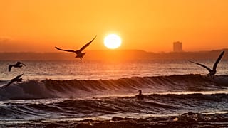 Mewy latają w pobliżu plaży Morza Bałtyckiego w Haffkrug w Niemczech o wschodzie słońca w niedzielę 28 grudnia 2025 r. (AP Photo/Michael Probst), zdjęcie poglądowe