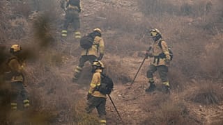 Los bomberos trabajan en un incendio forestal en Los Gallardos, cerca de Almería, España, el viernes 10 de julio de 2026.