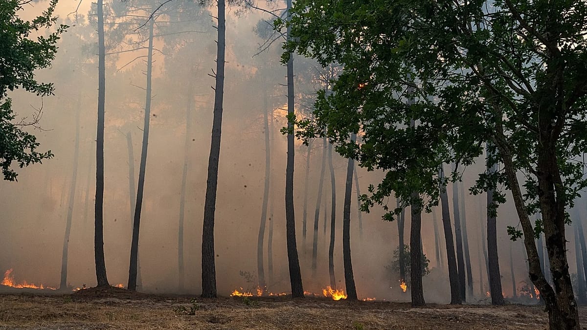 Evacuations ordered in Bordeaux suburbs as wildfires continue Evacuations ordered in Bordeaux suburbs as wildfires continue