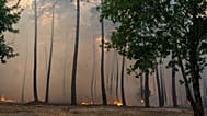 Flames and smoke rise from a burning forest in the Lège-Cap-Ferret region, western France, Friday, July 24, 2026.