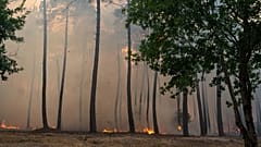 Llamas y humo se elevan desde un bosque en llamas en la región de Lège-Cap-Ferret, en el oeste de Francia, el viernes 24 de julio de 2026.