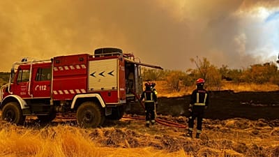 Vigili del fuoco della Comunità di Madrid, 24 luglio 2026