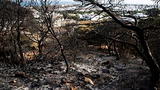Tunisie : une vague de chaleur cause 900 incendies en 72 heures 