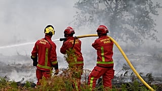 Des pompiers arrosent une forêt près de Marcheprime, dimanche 26 juillet 2026.