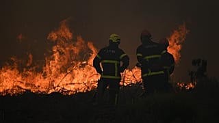 Des pompiers arrosent une forêt en feu près de Lacanau, samedi 25 juillet 2026.