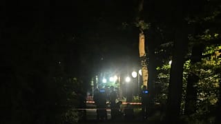 Die Polizei durchkämmt am frühen Sonntagmorgen, dem 26. Juli 2026, den Tiergarten in Berlin, nachdem die Feierlichkeiten zum Christopher Street Day abgesagt worden waren.