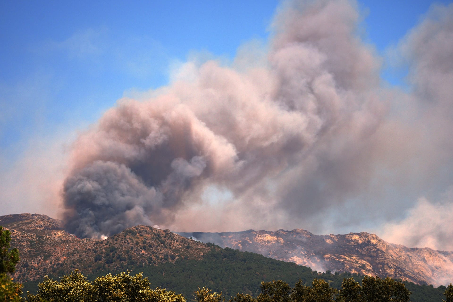 EU to Buy Permanent Firefighting Fleet After Massive Wildfires