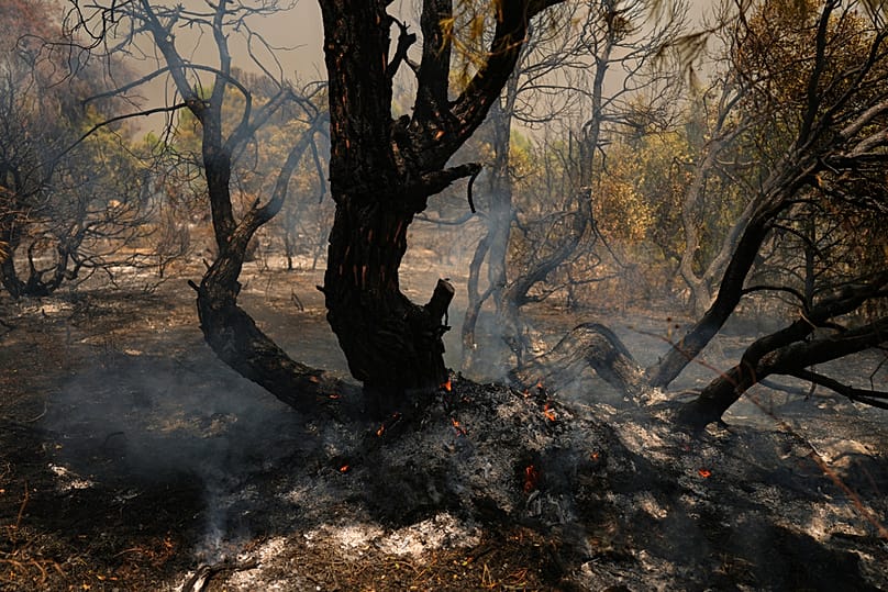 Smoke rises from the remains of a tree caught in a wildfire in San Martin de Valdeiglesias, west of Madrid, Spain, Sunday, July 26, 2026