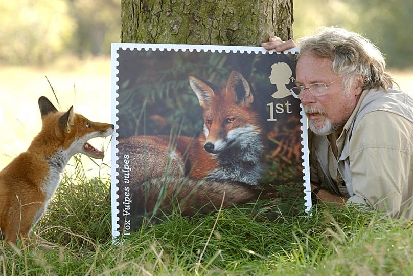Bill Oddie mit Bandit, einem achtjährigen geretteten Fuchsrüden, und einer Briefmarke aus der Royal-Mail-Serie „Woodland Animals“, 2004