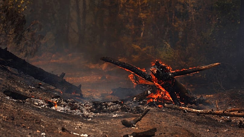Le fiamme bruciano la vegetazione e i tronchi degli alberi durante un incendio boschivo a Cotignac, in Francia, mercoledì 22 luglio 2026, mentre le condizioni di siccità peggiorano dopo un'ondata di calore.