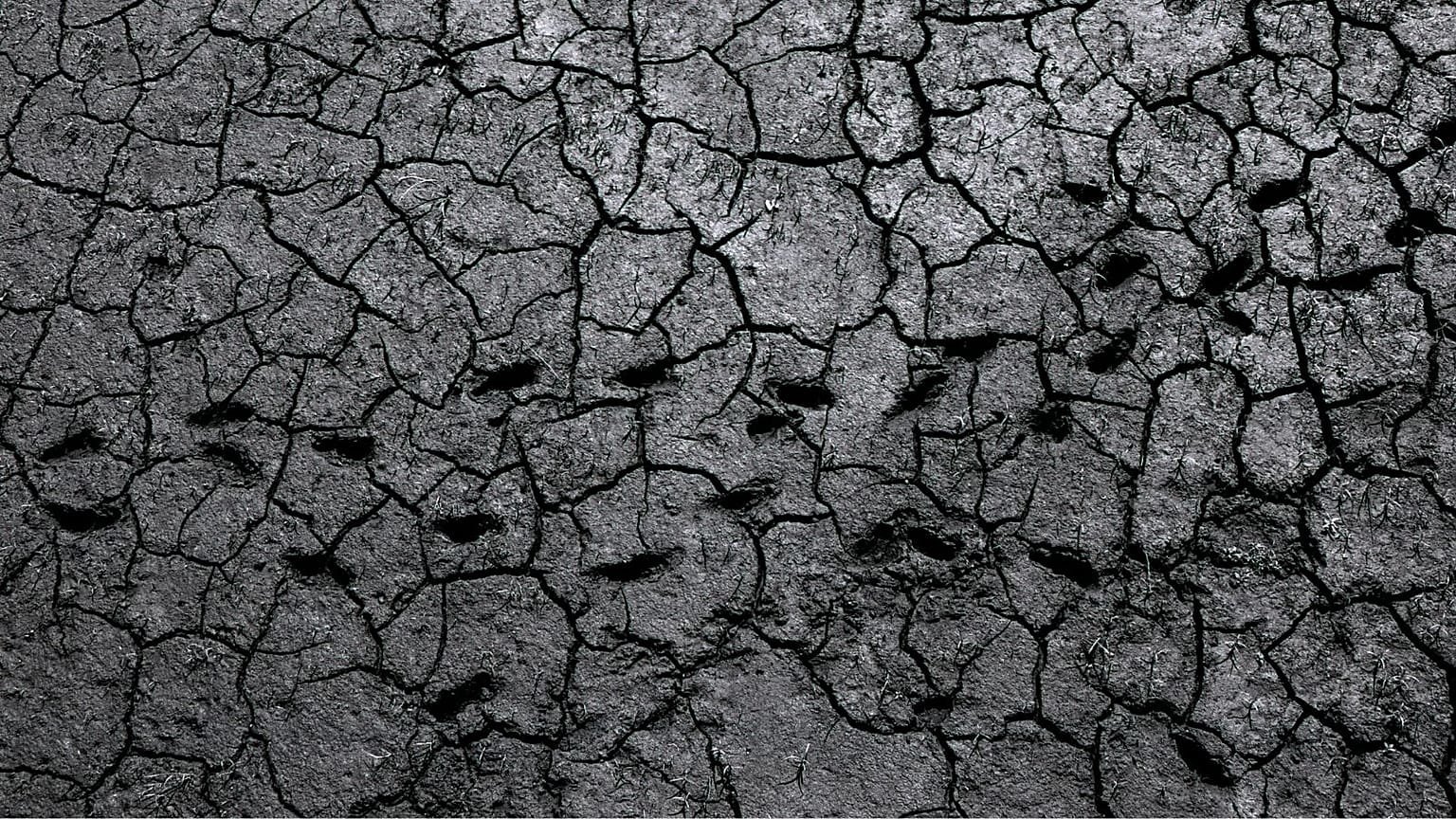 عکس آرشیوی