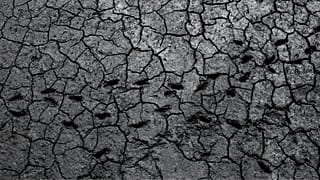 عکس آرشیوی