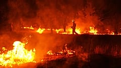 Los Bomberos utilizan quemas controladas para detener un incendio forestal que continúa propagándose cerca de Cebreros, provincia de Ávila, España, el martes 28 de julio.