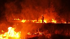 Los bomberos emplean quemas controladas para frenar un incendio forestal que sigue propagándose cerca de Cebreros, en Ávila, el martes 28 de julio de 2026
