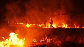 Firefighters use controlled burning to halt a wildfire that continues to spread near Cebreros, Ávila province, Spain, Tuesday, July 28, 2026. 