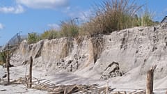 archivio - effetti dell'erosione su una spiaggia