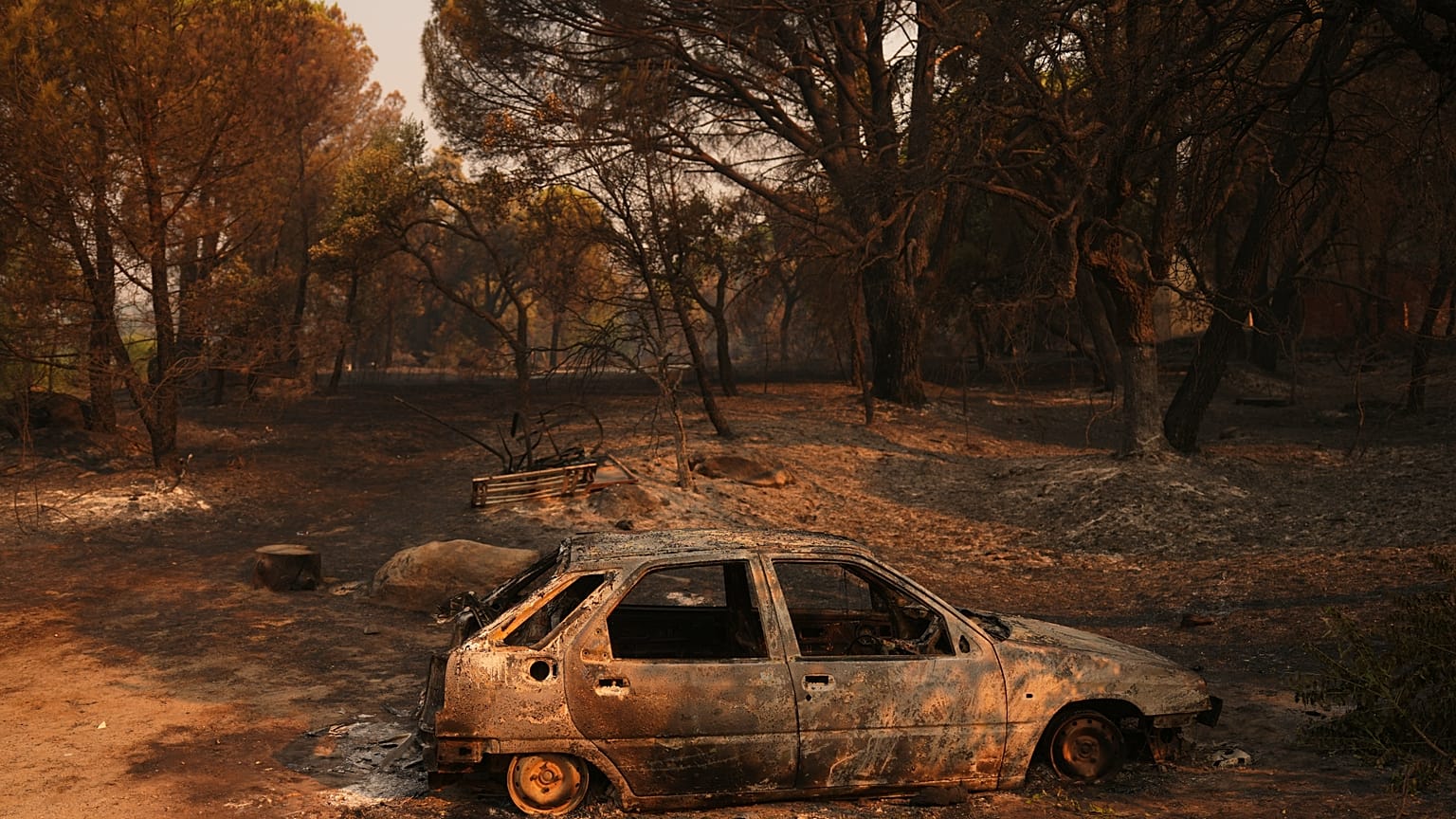 Un coche, quemado en mitad del bosque