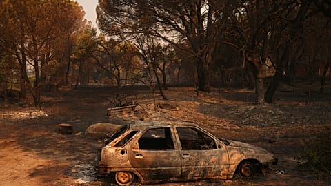 Un'auto bruciata nel mezzo del bosco