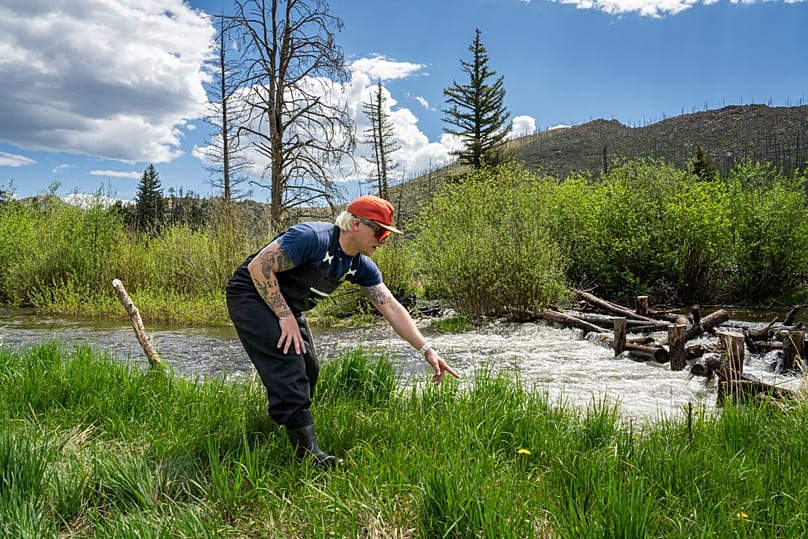 Ricercatori della Colorado State University costruiscono una diga artificiale di castori.