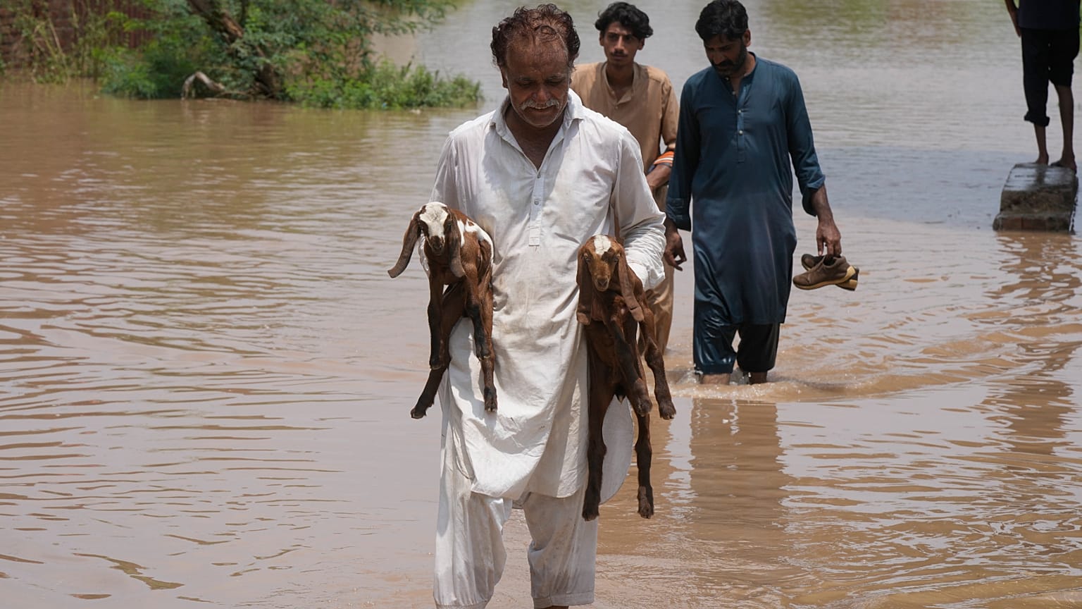 Un uomo colpito dall'alluvione porta capretti attraverso l'acqua alta in una zona allagata vicino a Lahore, Pakistan, lunedì 27 giugno 2026.