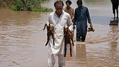 Un hombre afectado por la inundación lleva cabritos a través del agua en una zona anegada cercana a Lahore, Pakistán, lunes 27 de junio de 2026