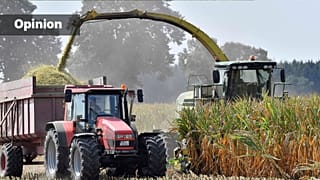 Farmers harvest a cornfield in Dorsten, Germany, 2018 (AP Photo/Martin Meissner)