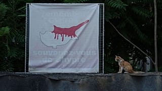 A cat sits next to a banner showing the division of Cyprus at the UN buffer zone in the divided Nicosia on 17 July 2025