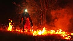 Bombeiros recorrem a queimadas controladas para travar um incêndio florestal que continua a avançar perto de Cebreros, na província de Ávila, Espanha, em 28 de julho de 2026.
