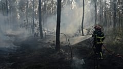 Bombeiros tentam apagar um incêndio em Blagon, no sudoeste de França, 29 de julho de 2026.
