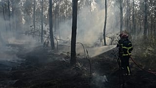 Les pompiers s'efforcent d'éteindre un incendie à Blagon, dans le cadre des feux de forêt qui ravagent le sud-ouest de la France, ce mercredi 29 juillet 2026.
