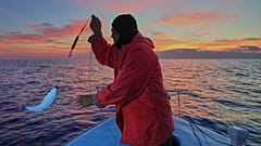 Pescador Photis Gaitanos apanha peixe-sapo no seu barco ao largo de Larnaca, Chipre, no leste do Mediterrâneo, madrugada de sábado, 20 de dezembro de 2025
