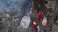 FILE : Brasas ardem no interior de uma oliveira durante um incêndio florestal em Rethymno, Creta, Grécia, na quarta-feira, 29 de julho de 2026, onde morreram dois bombeiros.