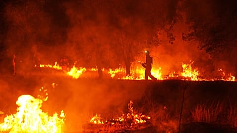 Falschmeldungen über Spaniens Waldbrände verbreiten sich erneut