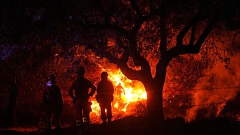 Los bomberos usan quemas controladas para frenar un incendio forestal que sigue avanzando cerca de Cebreros, en Ávila, martes 28 de julio de 2026