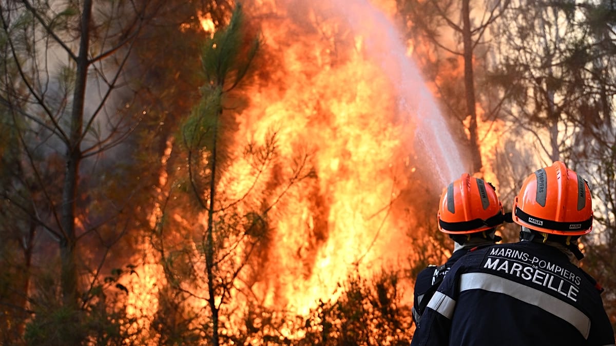 Can the EU combat wildfires? Ask the Euronews AI chatbot