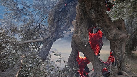 Creta: el incendio sigue fuera de control