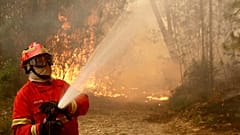Bombeiros combatem um incêndio numa floresta de eucaliptos nos arredores de Sever do Vouga, no norte de Portugal, na quarta-feira, 18 de setembro de 2024