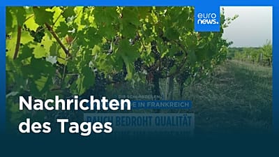 Nachrichten des Tages | 31. Juli 2026 - Mittagsausgabe