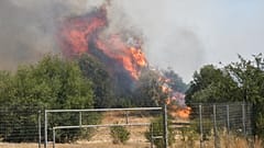Φωτιά καίει στην περιοχή Φίχτια Αργολίδας