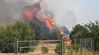 Φωτιά καίει στην περιοχή Φίχτια Αργολίδας