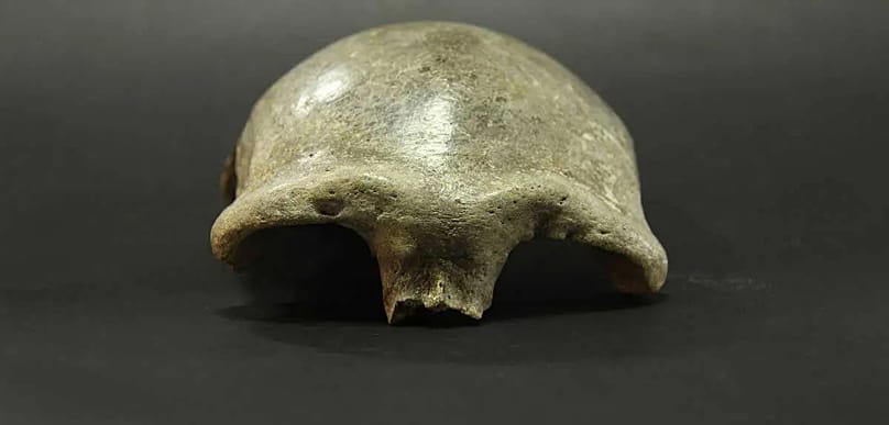 The skullcap found in the Salkhit Valley in eastern Mongolia comes from a woman who lived around 34,000 years ago.