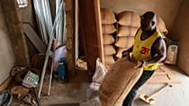 Ghana forecasts 16% fall in cocoa production following bad weather and disease