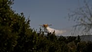 FILE: A water-bombing plane spreads water to extinguish a fire in a forested area in Guzelyeli, on the outskirts of Canakkale, 12 August 2025