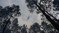 Blagon, 31 de julio de 2026 (AP Photo/Baz Ratner)